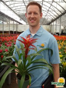 Bromeliad-Guzmania-Nancy-6-in