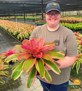 Bromeliad Neoregelia Charisma 6 in