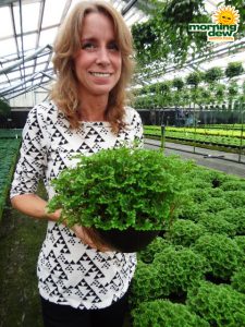 fern selaginella avatar