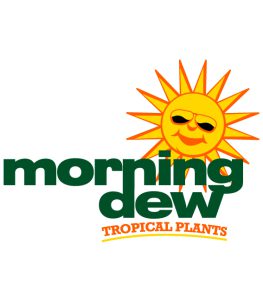 logo morning dew