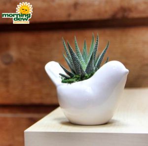 LiveTrends Modern Bird