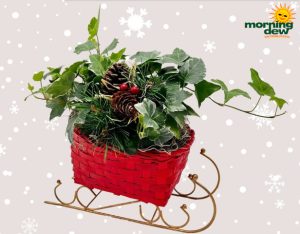 Christmas Wicker Sleigh 8 in