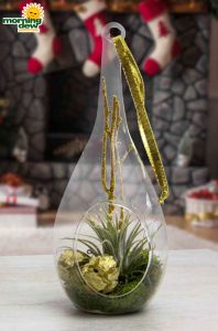 LiveTrends Gleam 3 in