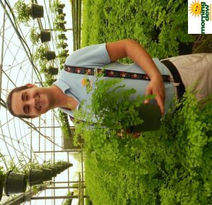 Fern Maidenhair Fragrans 6 in