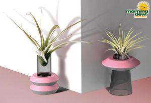 LiveTrends Bound by Love 3 in