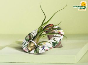 LiveTrends Guidance 4 in