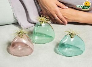 LiveTrends Lightness of Being 3 in