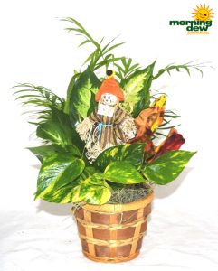 Fall Scarecrow Basket 5 in