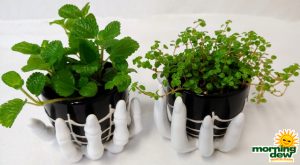 Halloween Haunted Hands 3 in