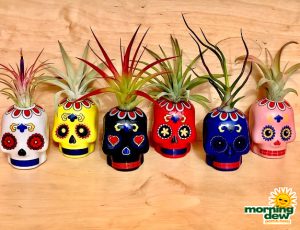 Halloween Sugar Skulls 3 in