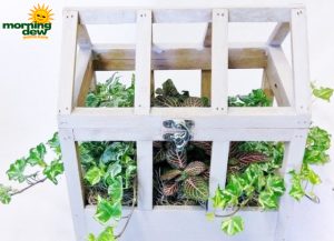 Dish Garden Wooden Conservatory