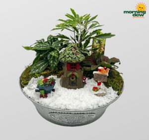 Christmas Metal Dish Garden 8 in