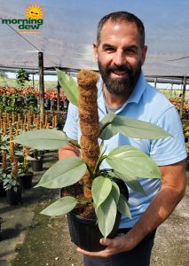 Totem Philo Silver Sword 8 in