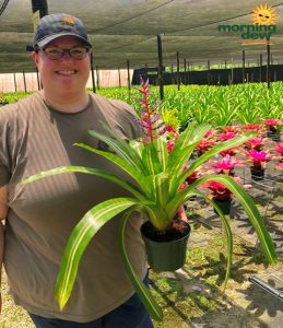Bromeliad Aechmea Del Cielo 6 in