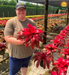 Bromeliad Neoregelia Malbec 6 in