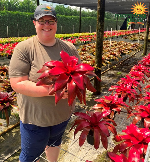 Bromeliad Neoregelia Malbec 6 in