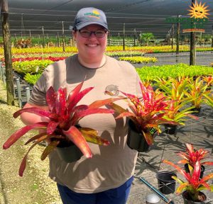 Bromeliad Neoregelia Paprika 5 in